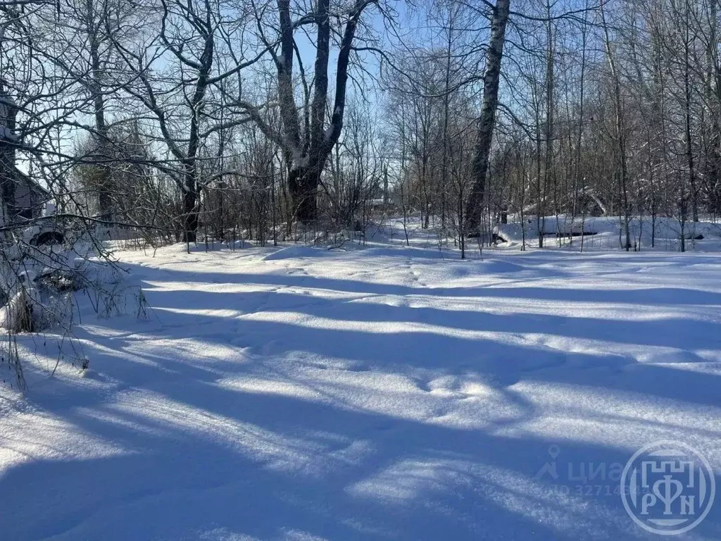 Дом в Ленинградская область, Лужский район, Дзержинское с/пос, д. ... - Фото 2
