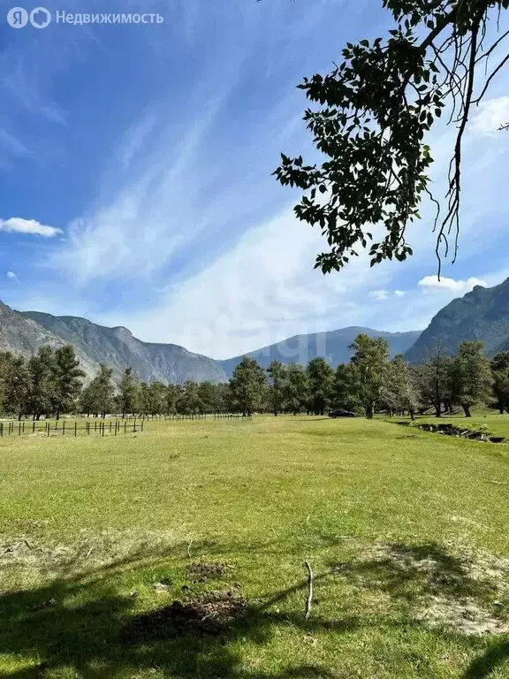 Участок в Улаганский район, село Коо (150 м) - Фото 1