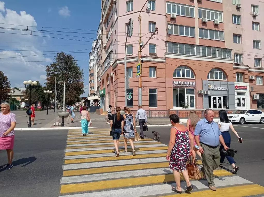 Помещение свободного назначения в Белгородская область, Белгород ... - Фото 0