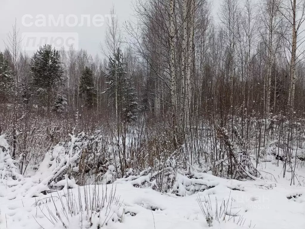 Участок в Ленинградская область, Тосненский район, Рябовское городское ... - Фото 0