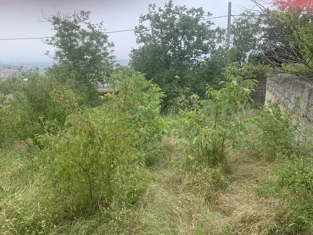 Участок в Ставропольский край, Ессентуки Мичуринец СТ,  (5.0 сот.) - Фото 2