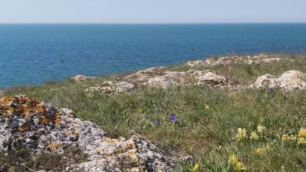 Участок в Крым, Ленинский район, Мысовское с/пос, с. Семеновка ул. ... - Фото 1