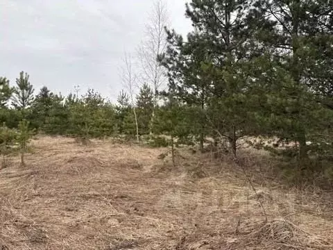 Участок в Московская область, Воскресенск городской округ, д. ... - Фото 1