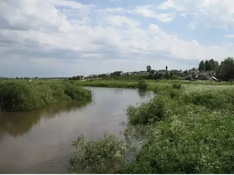 Участок в Смоленская область, Гагаринский район, д. Болычево  (135.0 ... - Фото 1