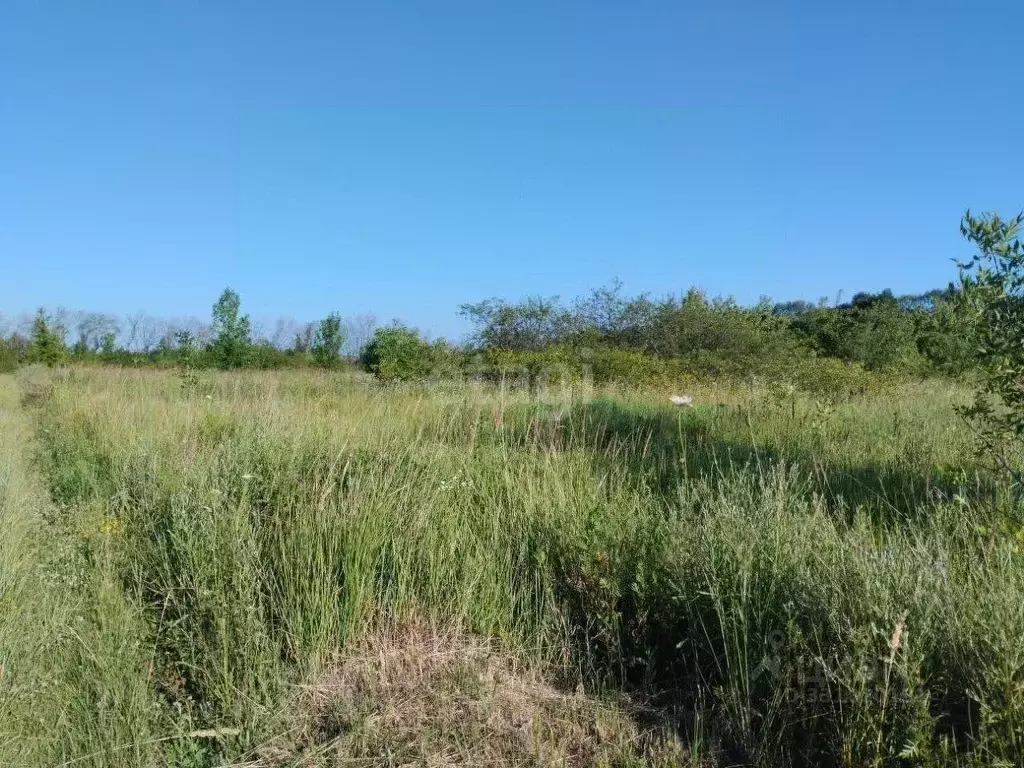 Участок в Белгородская область, Корочанский муниципальный округ, ... - Фото 1