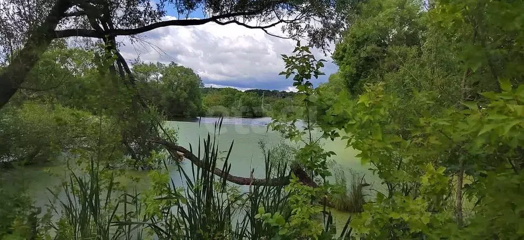 Участок в Тульская область, Щекинский район, Ломинцевское с/пос, д. ... - Фото 2