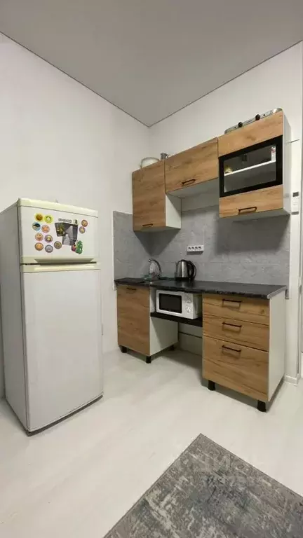 Студия Краснодарский край, Сочи Светлана мкр, ул. Лысая Гора, 4Б (25.0 ... - Фото 1