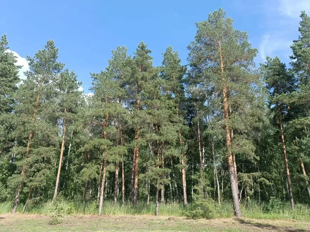 Участок 10 сот. (СНТ, ДНП) - Фото 0