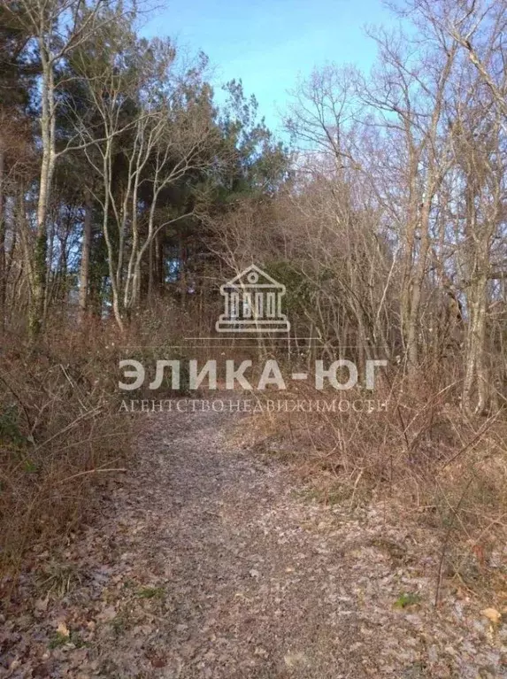 Участок в Краснодарский край, Туапсинский муниципальный округ, с. ... - Фото 2