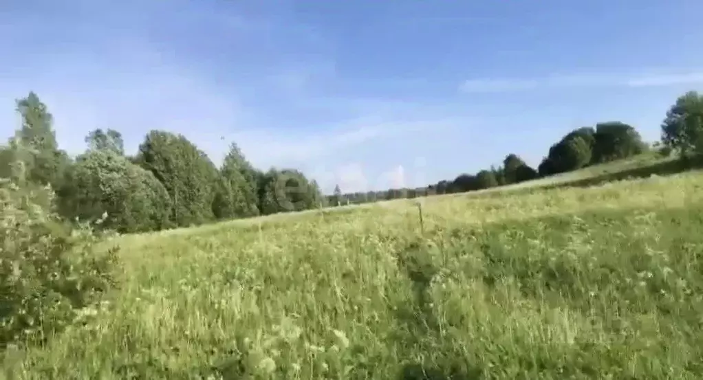 Участок в Ленинградская область, Всеволожский район, Куйвозовское ... - Фото 1