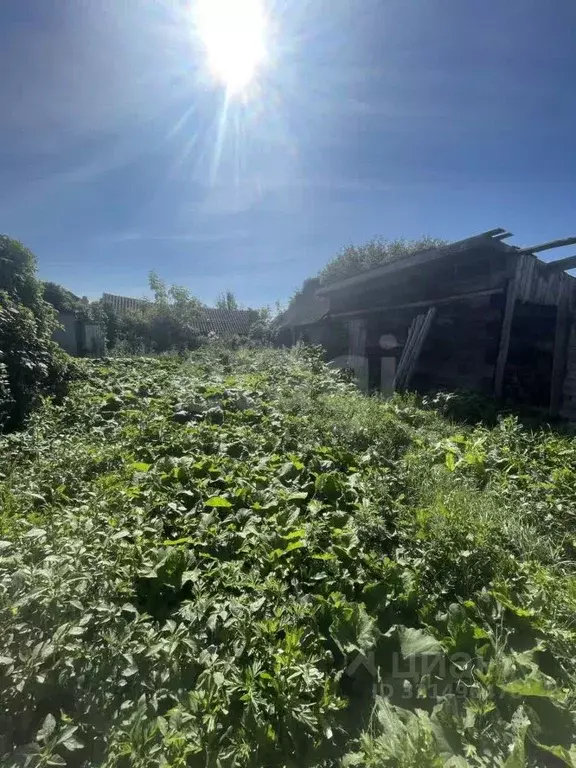 Дом в Саратовская область, Балашовский район, с. Тростянка ... - Фото 2