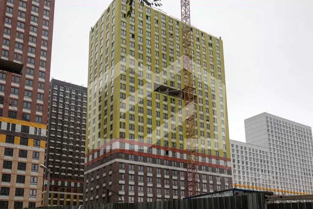 Помещение свободного назначения в Московская область, Котельники Белая ... - Фото 1