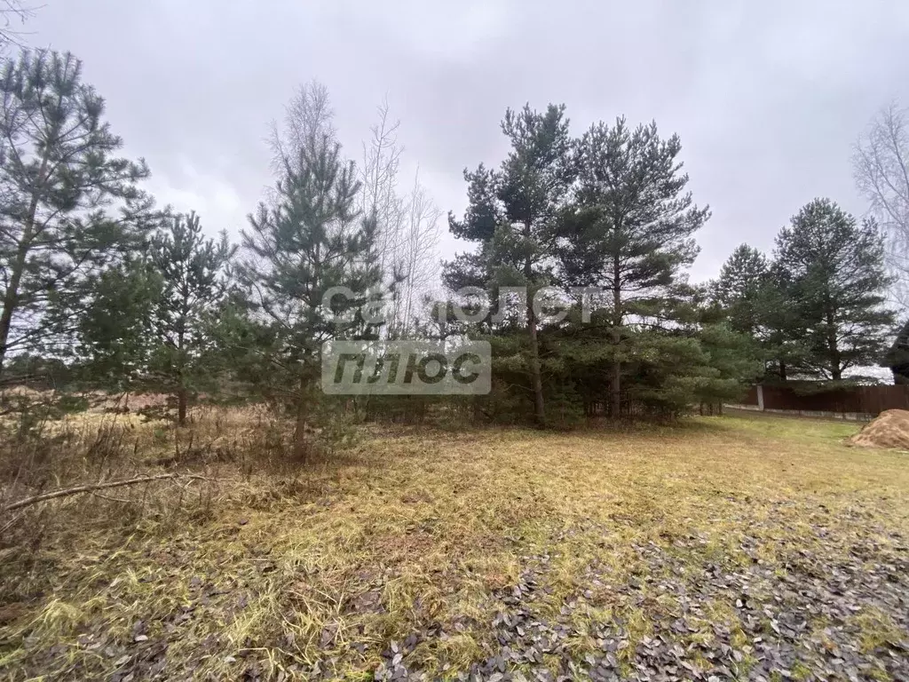 Участок в Московская область, Дмитровский муниципальный округ, ... - Фото 2