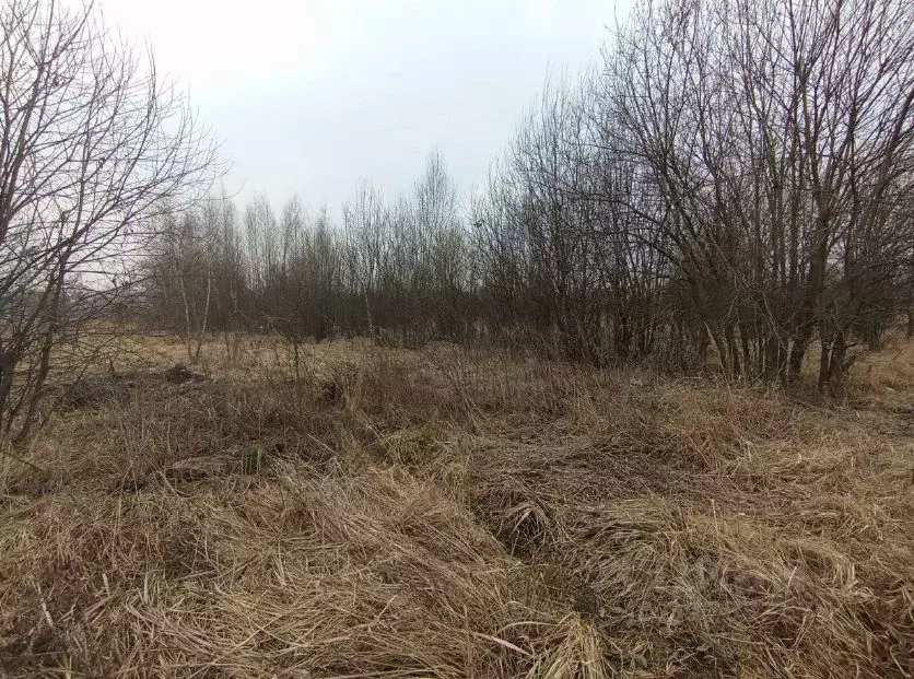 Участок в Московская область, Коломна городской округ, с. Никульское  ... - Фото 0