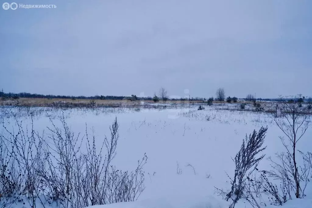 Участок в Казань, 1-я Вознесенская улица (8.53 м) - Фото 2