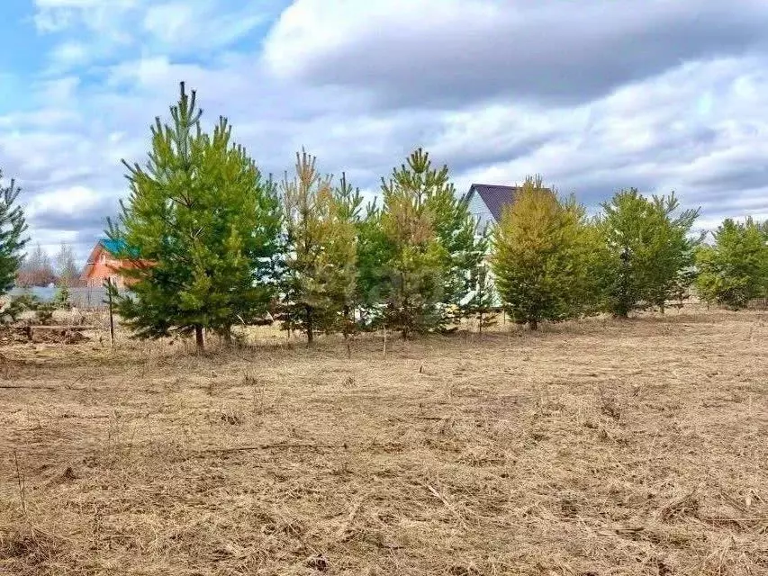 Участок в Ярославская область, Тутаевский муниципальный округ, д. ... - Фото 1