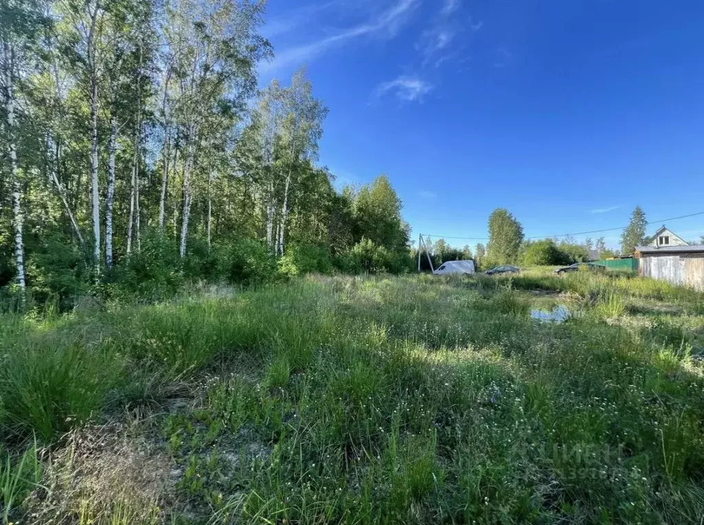 Участок в Ленинградская область, Ломоносовский район, Виллозское ... - Фото 0