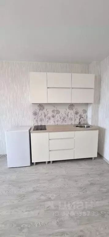 Студия Пермский край, д. Кондратово ул. Водопроводная, 6/1 (26.0 м) - Фото 2