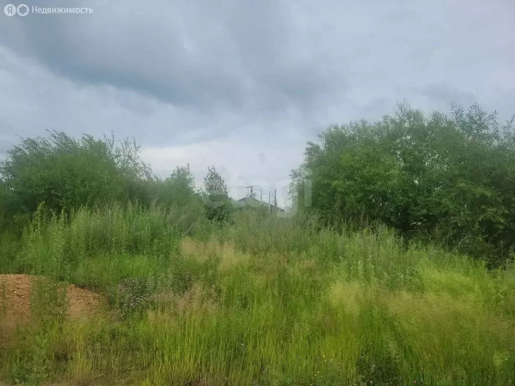 Участок в Амурская область, городской округ Благовещенск, село Садовое ... - Фото 2