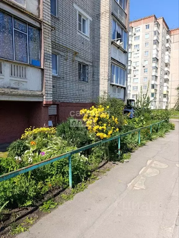 1-к кв. Липецкая область, Липецк ул. Студенческий Городок, 25 (30.0 м) - Фото 1