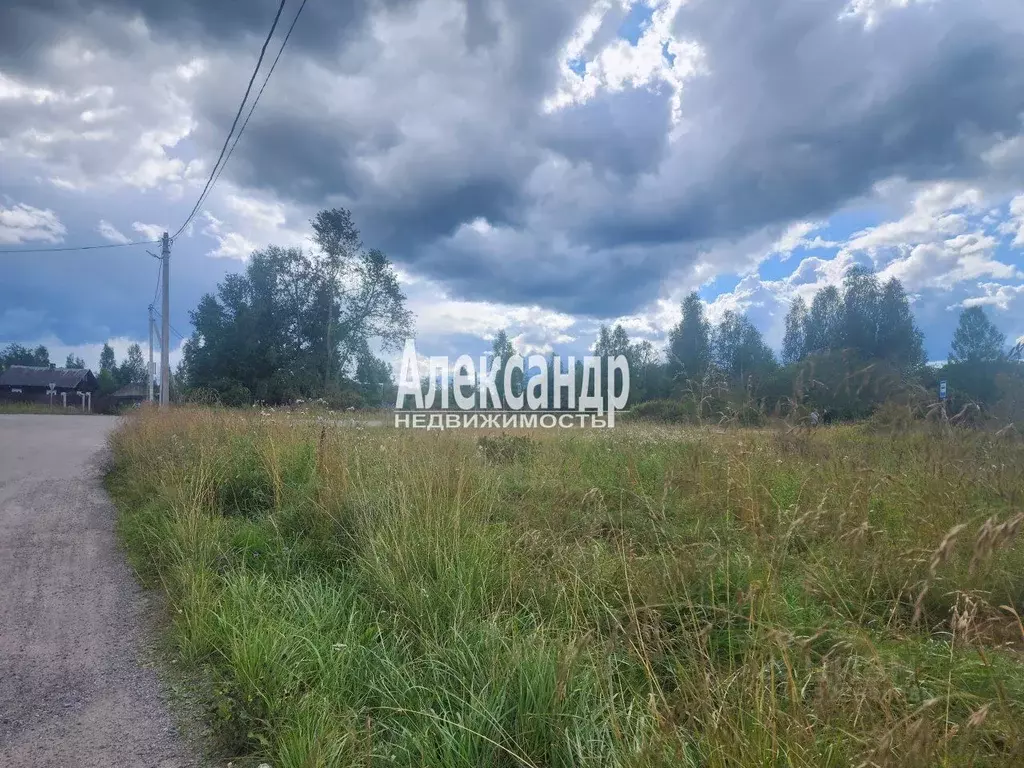 Участок в Ленинградская область, Приозерский район, Ларионовское ... - Фото 1