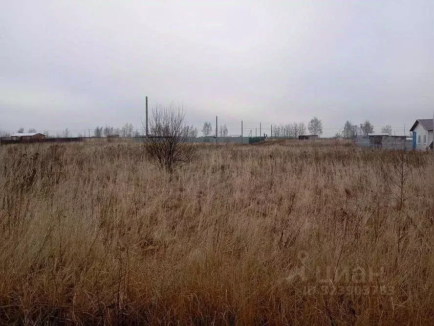 Участок в Московская область, Раменский муниципальный округ, д. ... - Фото 2