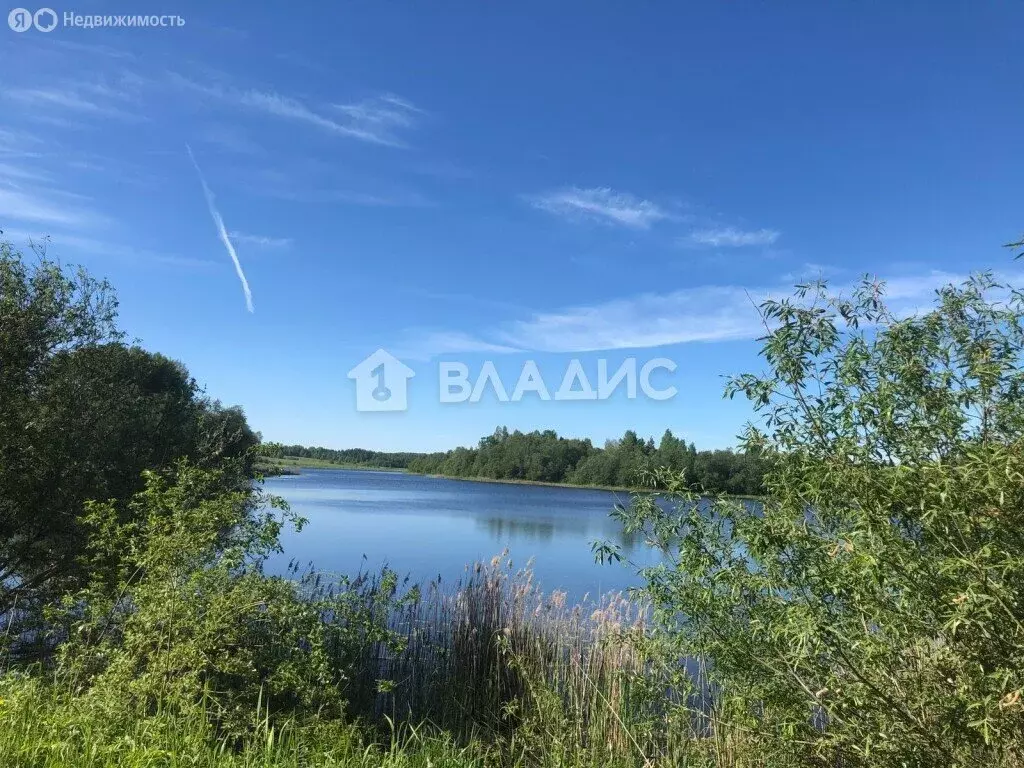 Участок в Вологодская область, Кирилловский муниципальный округ, ... - Фото 0