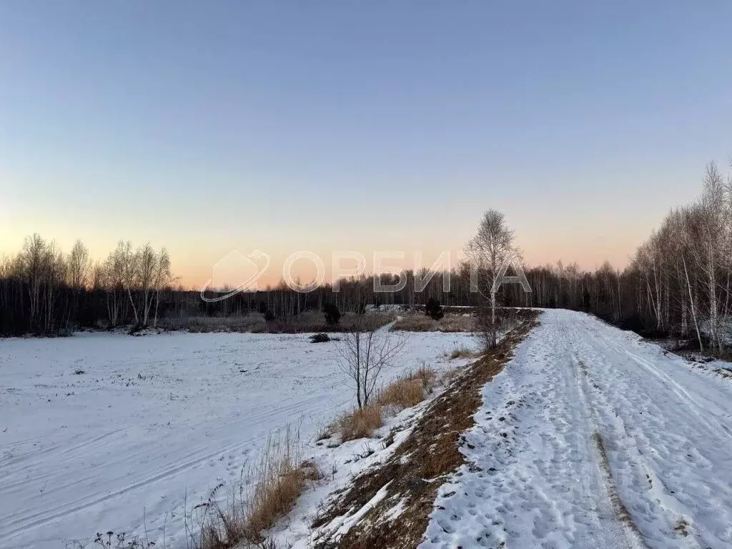 Участок в Тюменская область, Тюменский район, д. Пышминка  (12.5 сот.) - Фото 0