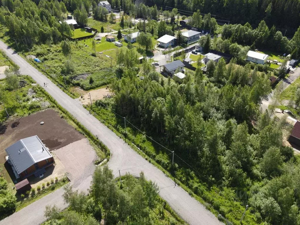 Участок в Ленинградская область, Всеволожский район, Лесколовское ... - Фото 1