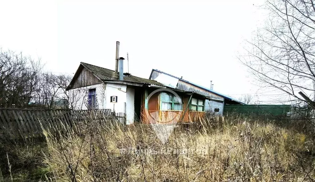 Дом в Рязанская область, с. Путятино ул. Алексухина, 30А (49 м) - Фото 0
