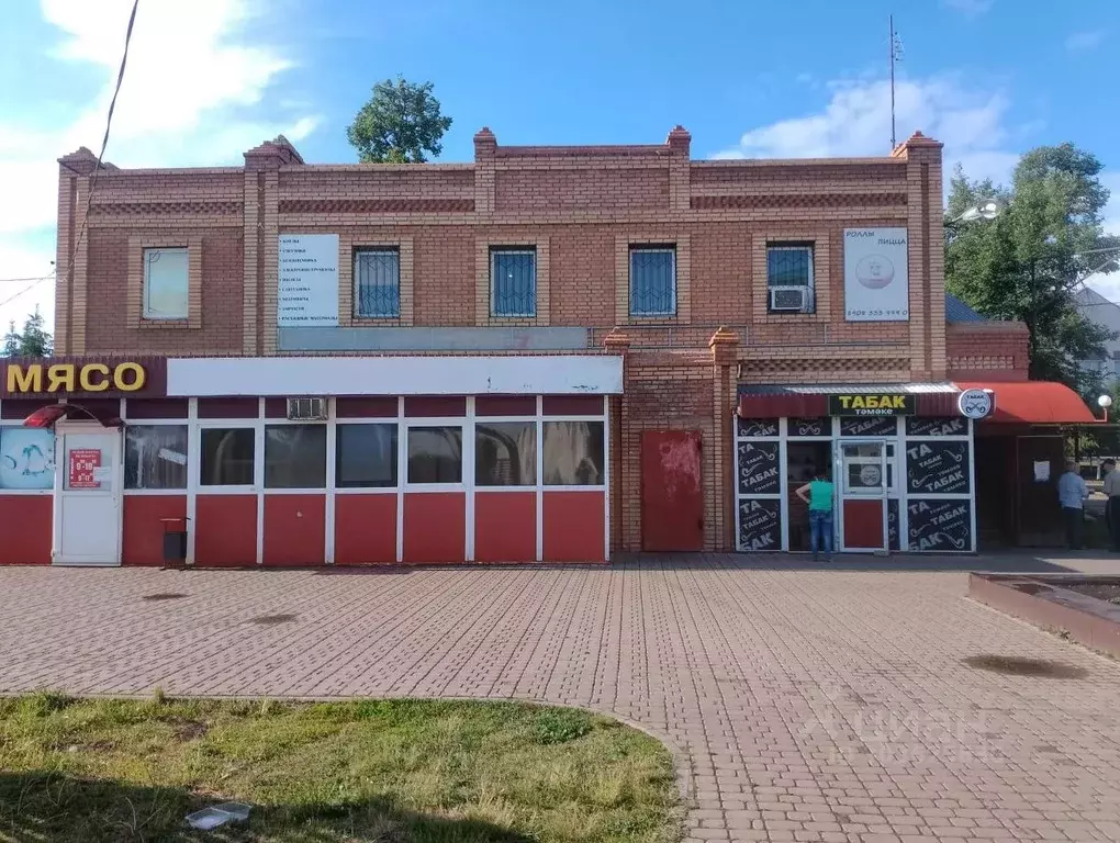 Торговая площадь в Татарстан, с. Черемшан ул. Советская, 29 (287 м) - Фото 0