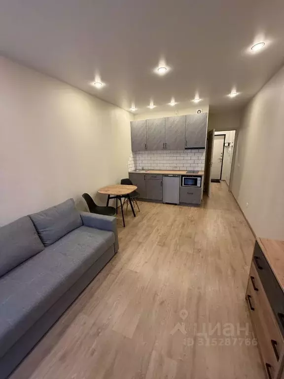 Студия Санкт-Петербург просп. Ветеранов, 173к7 (29.0 м) - Фото 0