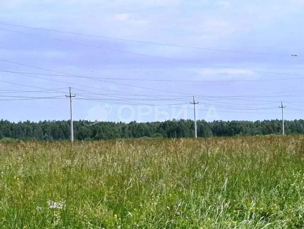 Участок в Тюменская область, Тюменский район, д. Елань 14 (4.19 сот.) - Фото 1