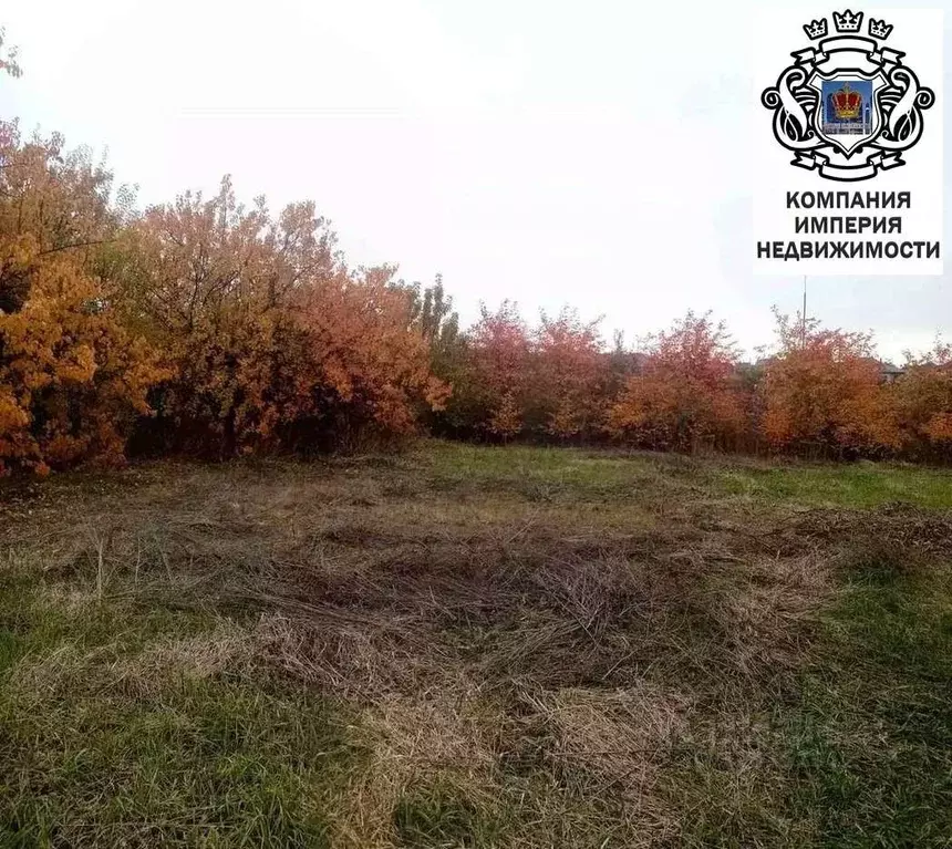 Участок в Белгородская область, Белгородский район, Тавровское с/пос, ... - Фото 0