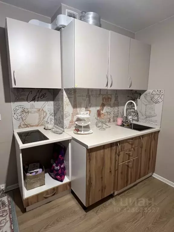 Студия Санкт-Петербург, Санкт-Петербург, Колпино Загородная ул., 43к4 ... - Фото 0