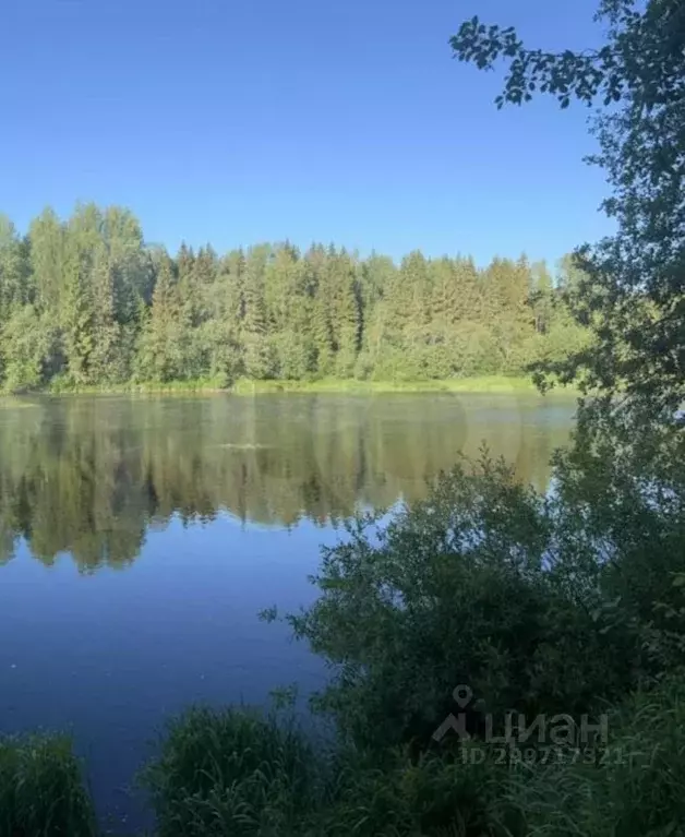 Участок в Тверская область, Ржевский муниципальный округ, д. Суходол  ... - Фото 0