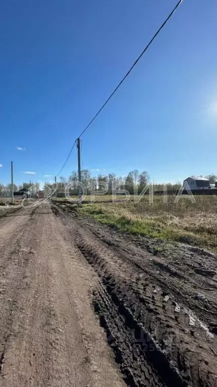 Участок в Тюменская область, Тюмень Зеленый Бор ДНТСН, ул. ... - Фото 1