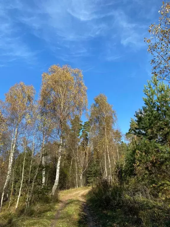 Участок в Московская область, Сергиево-Посадский городской округ, ... - Фото 2