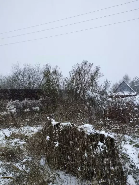 Участок в Вологодская область, Череповецкий район, Вера СНТ  (4.0 ... - Фото 2