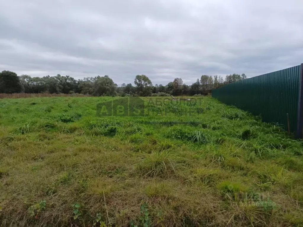 Участок в Новгородская область, Новгородский район, Савинское с/пос, ... - Фото 2