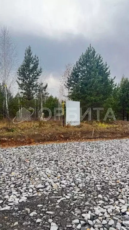 Участок в Тюменская область, Тюменский муниципальный округ, ... - Фото 1