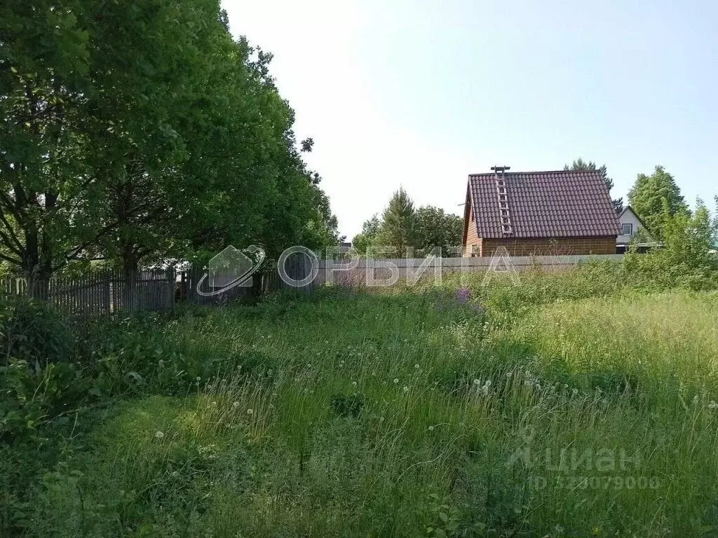 Участок в Тюменская область, Тюмень Салаирский тракт, 6-й км, 19 (8.4 ... - Фото 2