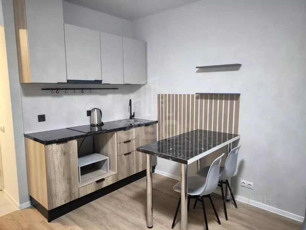 Студия Санкт-Петербург ш. Суздальское, 30к2с1 (26.0 м) - Фото 1