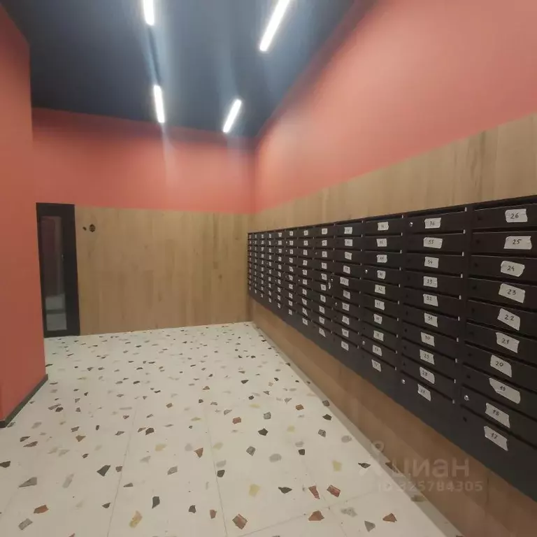 Студия Воронежская область, Воронеж ул. Ломоносова, 116А (30.0 м) - Фото 2