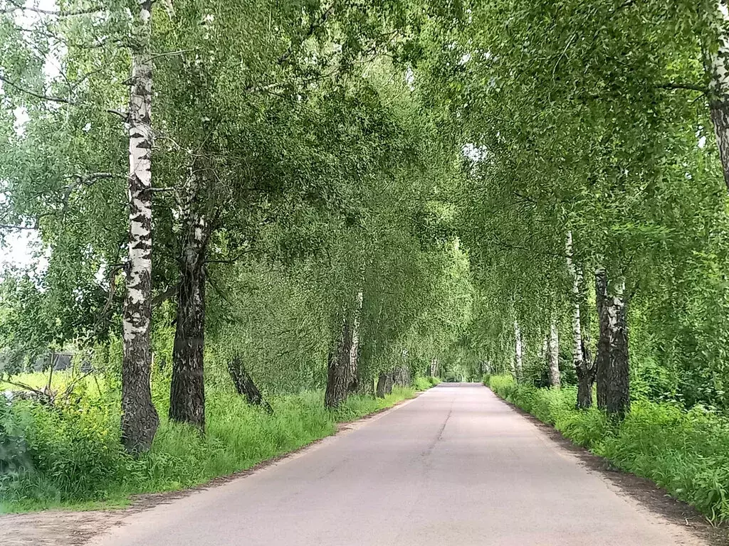 Участок в Орловский муниципальный округ, СНТ Нива (5.2 м) - Фото 0