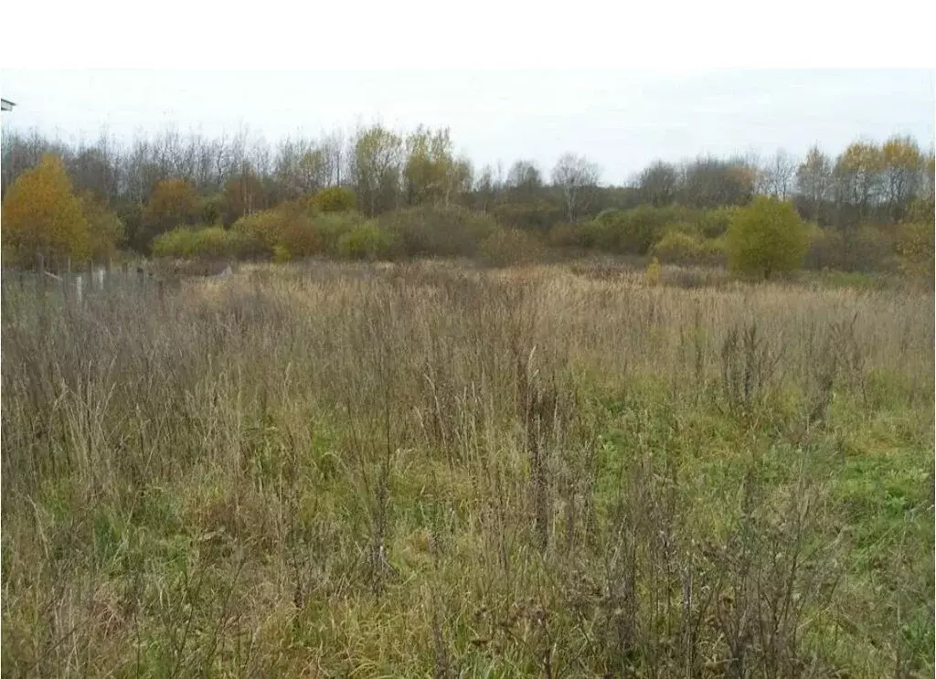 Участок в Ладожская, Садовая улица, 1 (15 м) - Фото 1