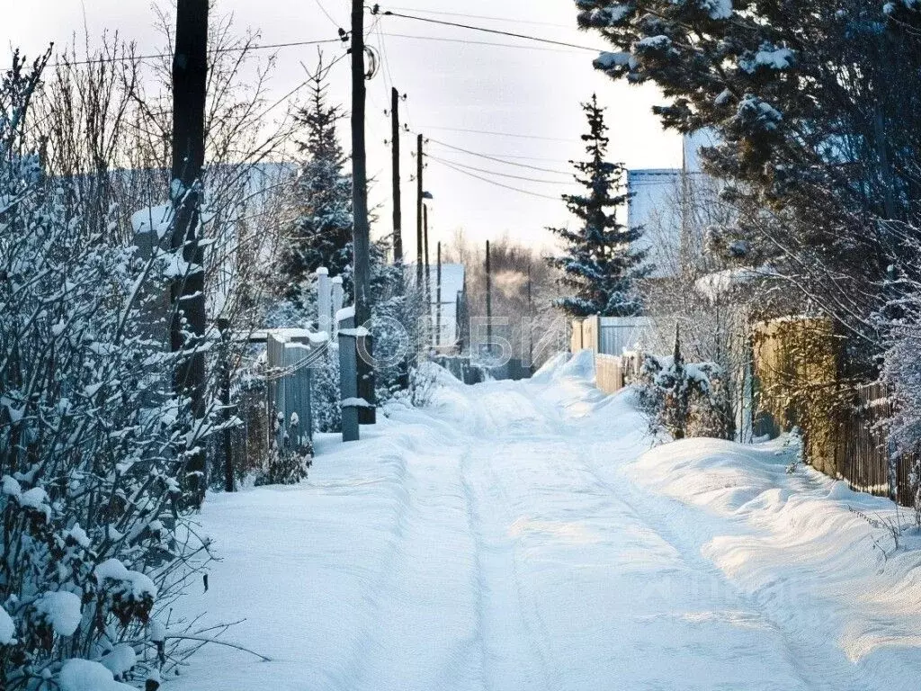Участок в Тюменская область, Тюмень Садовое товарищество Липовый ... - Фото 0