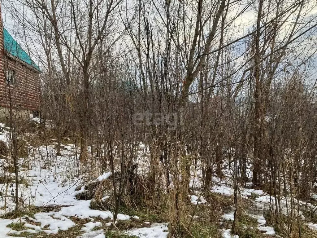 Участок в Алтай, Горно-Алтайск Садовод СНТ,  (7.6 сот.) - Фото 1