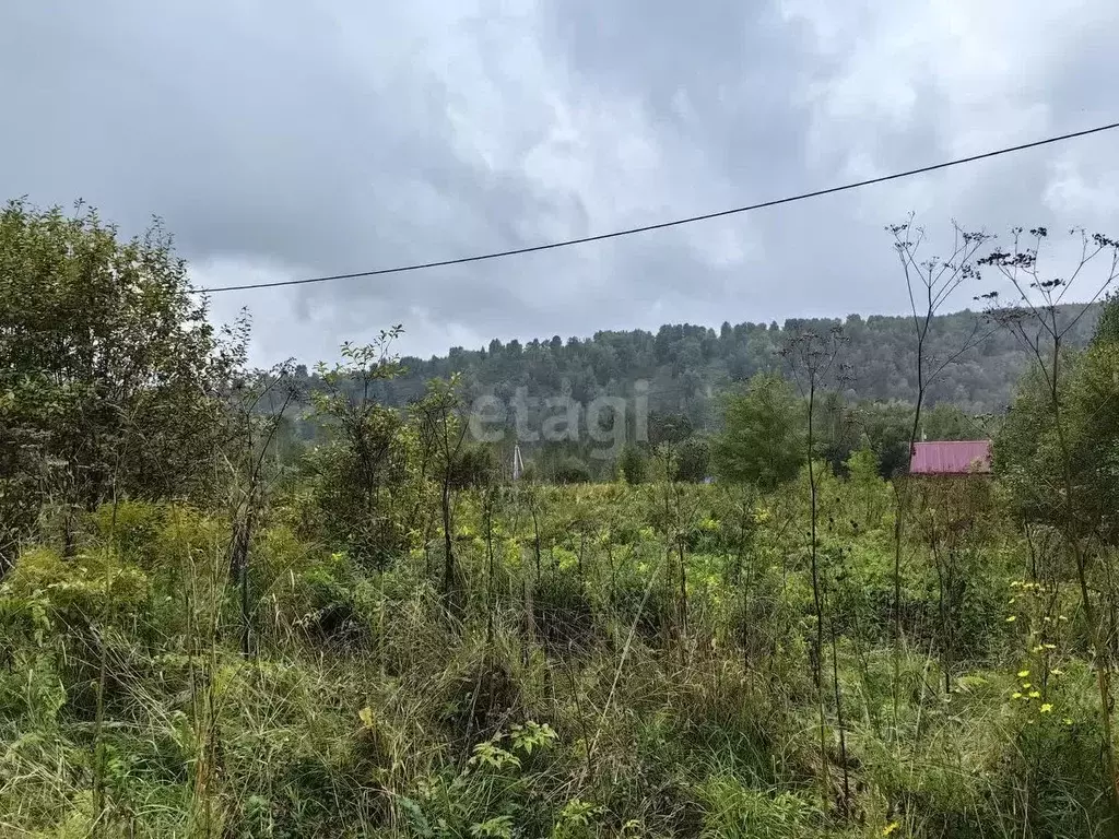 Участок в Кемеровская область, Новокузнецкий муниципальный округ, пос. ... - Фото 1