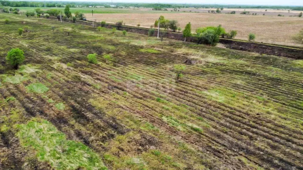 Участок в Хабаровский край, Хабаровский район, с. Дружба  (10.2 сот.) - Фото 1